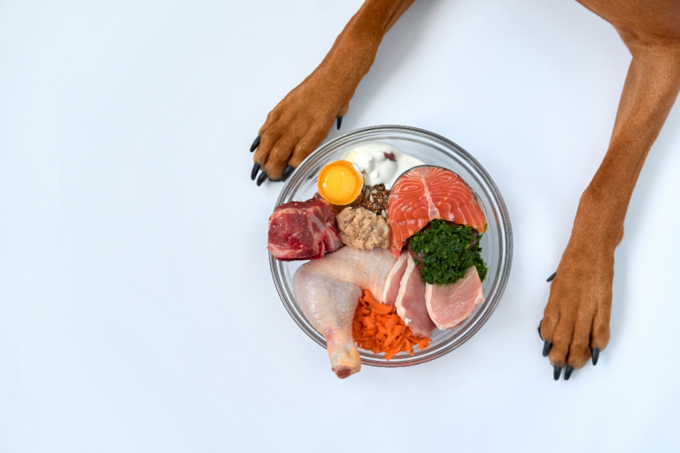 Best Raw Diet for Dogs