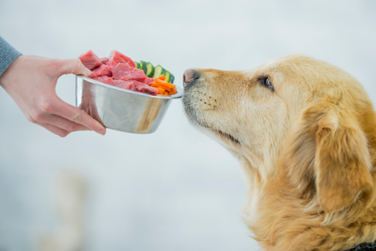 Dog Diet Chart