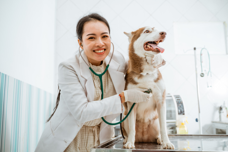 Dog Heart Disease