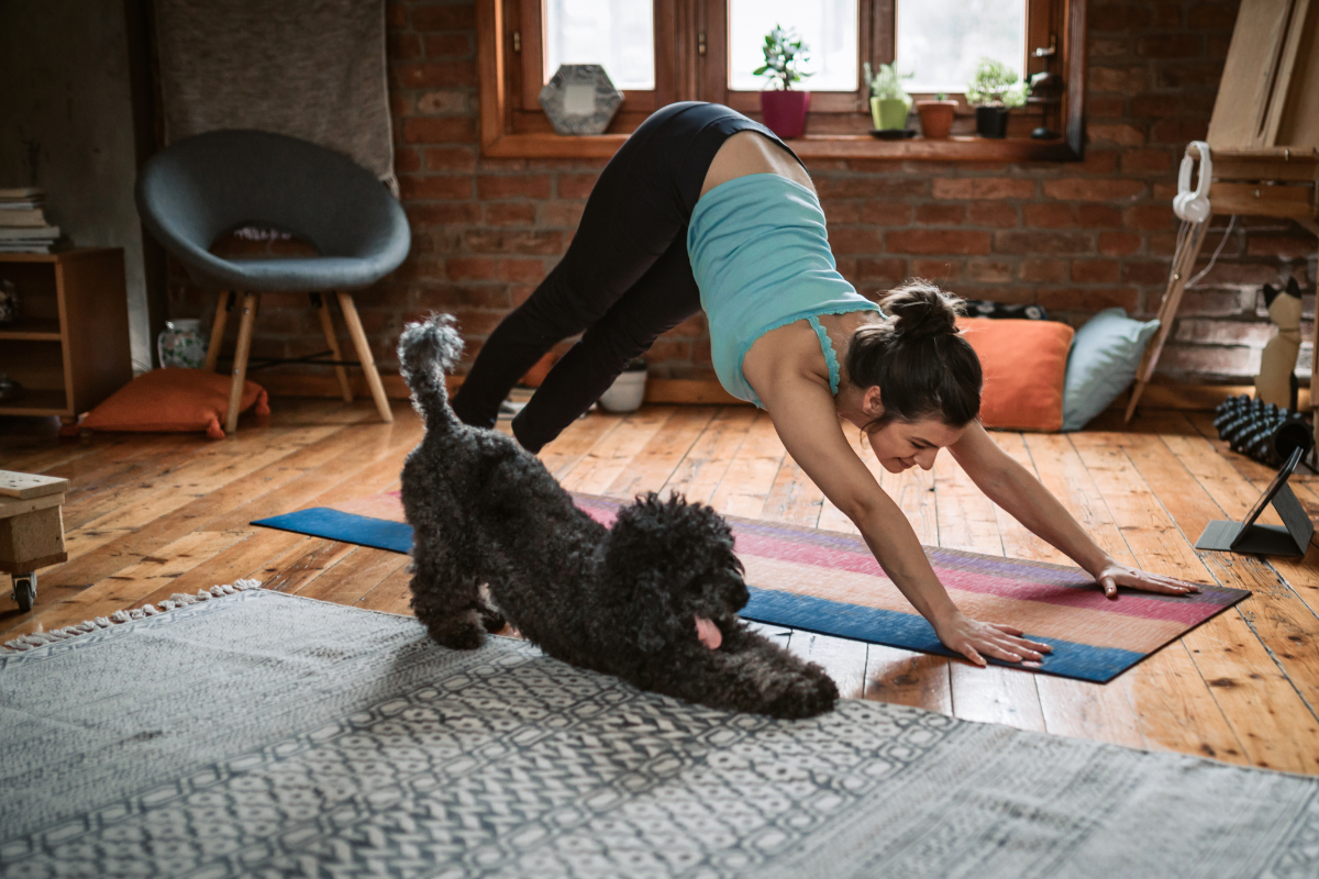 Fitness with Dog