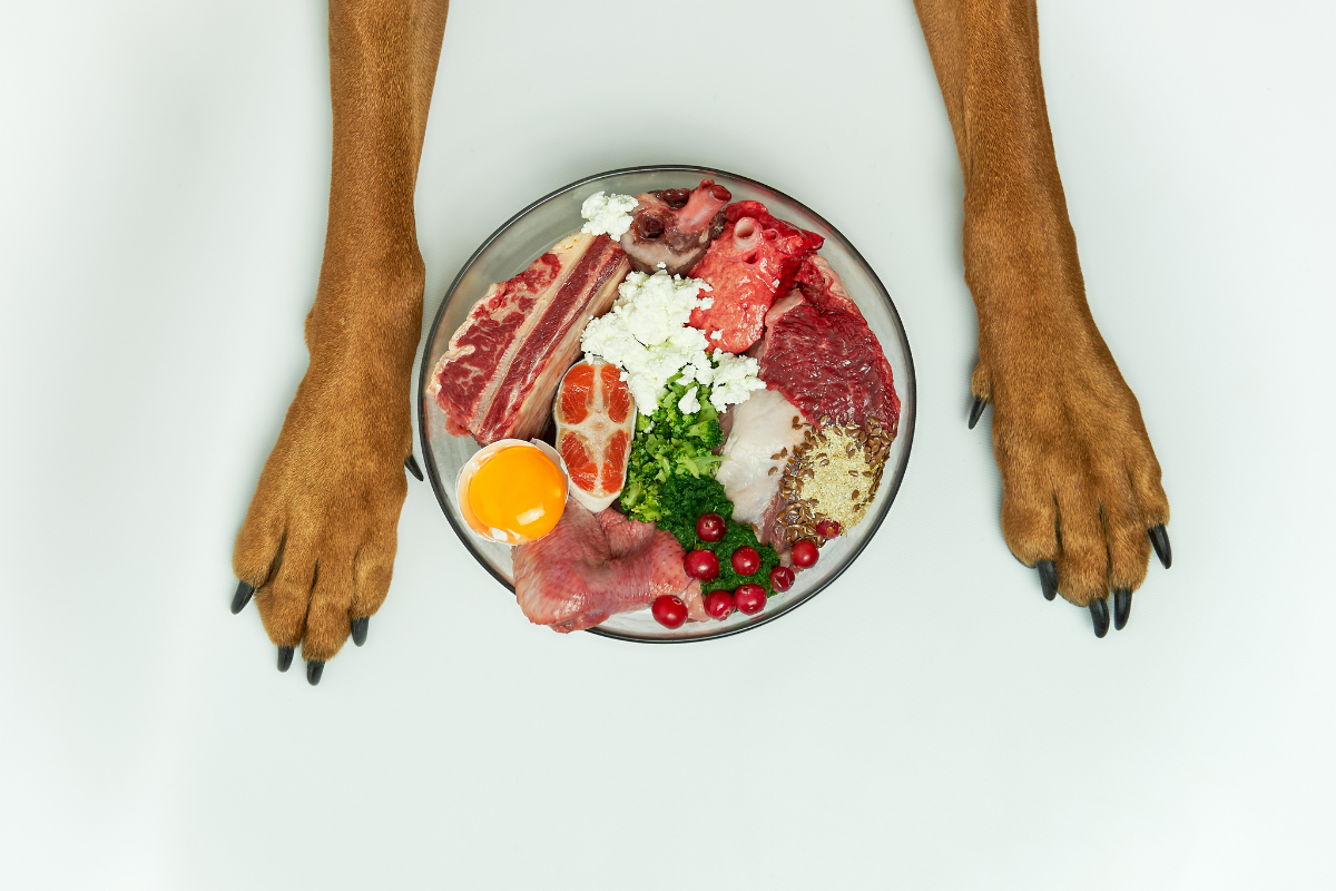 Good Raw Diet for Dogs