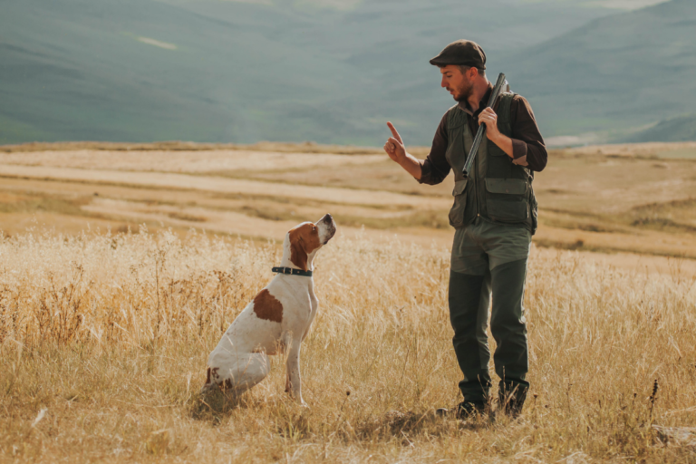 Gun Dog