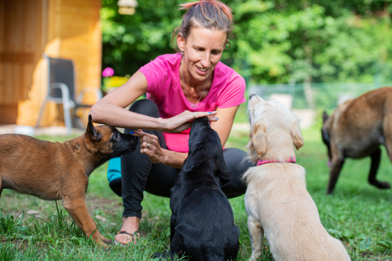 Puppy Training Classes
