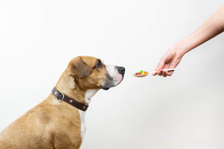 Red Dog Vitamin